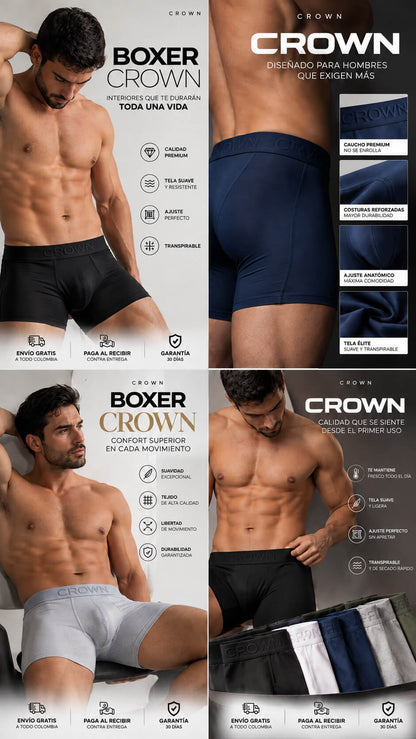 Boxer Crown